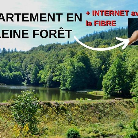 Appartement Aux Sources De La Chabanne Saint-Hilaire-les-Courbes Экстерьер фото